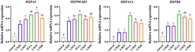 Varying the ratio of Lys: Met through enhancing methionine supplementation improved milk secretion ability through regulating the mRNA expression in bovine mammary epithelial cells under heat stress
